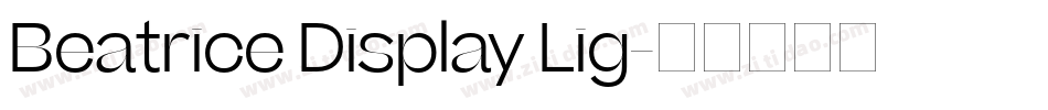 Beatrice Display Lig字体转换